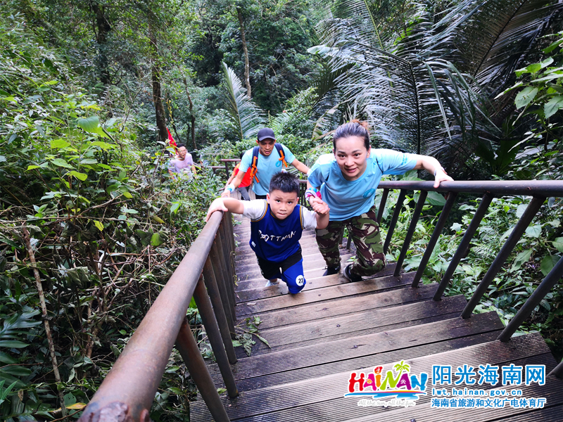 2020海南亲水运动季—保亭热带雨林登山露营大会举行，图为市民游客参与登山活动。